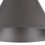Подвесной светильник Maytoni Bicones P359-PL-220-C