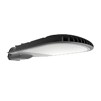 Светильник уличный светодиодный СКУ-02 серии PRO 175Вт 230В 5000К IP65 LLT