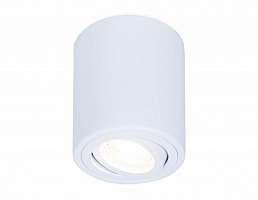 Потолочный светильник Ambrella light Techno Spot TN225 GU5.3