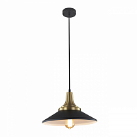 Подвесной светильник Escada ARIES 1101/1S E27 40W Black
