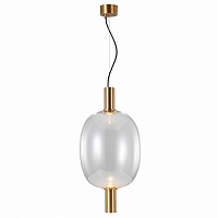 *Подвесной светодиодный светильник ST Luce Allenore SL1582.313.01