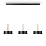 Подвесной светильник Freya Izza FR4008PL-03BBS 3*E27
