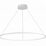 Подвесной светодиодный светильник ST Luce ST603.543.46