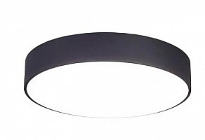 Накладной светодиодный светильник Citilux Tao CL712242N