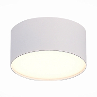 Светильник потолочный Белый LED 1*12W 3000K 1 080Lm Ra>85 120° IP20 D120xH55 185-265V
