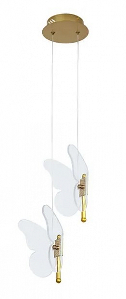 Подвесной светодиодный светильник Arte Lamp Darcy A2187SP-2GO