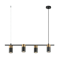 Подвесная люстра Favourite Topper 2825-4P GU10 4*35W