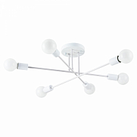 Потолочная люстра Arte Lamp Alastor A5435PL-6WH 6*E27