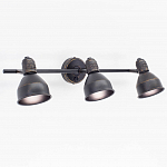 Спот Citilux Опус CL502532 3*E14