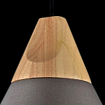 Подвесной светильник Maytoni Bicones P359-PL-220-C