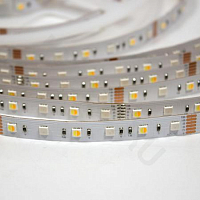 Светодиодная лента 3838 72Led RGB+CCT (RGB+White/Warm white) 12V IP33