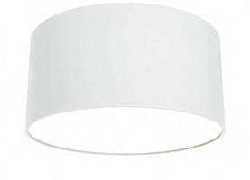 Потолочный светодиодный светильник Maytoni Technical Zon C032CL-12W3K-RD-W