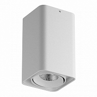 Светильник MONOCCO LED 10W 860LM 30G 4000K белый (в комплекте)