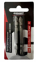 Биты двусторонние комбинированные (2 шт; PZ-FL2 PZ-FL1 65 мм; S2) Gigant GBS
