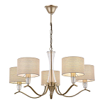 *Подвесная люстра Evoluce Cassia SLE1126-203-05