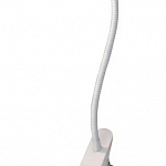 Настольная лампа Citilux Ньютон CL803060N