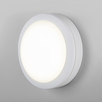 Пылевлагозащищенный светодиодный светильник Elektrostandard LTB51 LED 15W 6500К IP65 белый