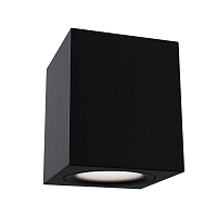 Потолочный настенный светильник Maytoni Alfa C013CL-01B