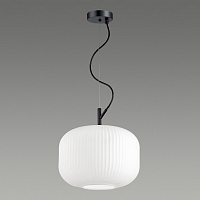 Подвесной светильник Odeon Light Roofi 4754/1 E27 D300 H1200мм 
