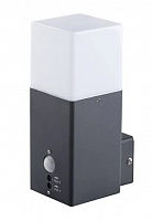 Фасадный светильник с датчиком Kanlux VADRA 21L-UP SE 29011