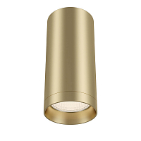 Потолочный светильник Maytoni Focus C010CL-01MG GU10 D60 H130мм