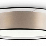 Потолочный светильник Freya Zoticus FR6005CL-L36G