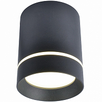 Светильник Arte Lamp ELLE A1909PL-1BK
