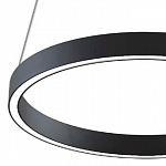 Подвесной светодиодный светильник Maytoni Rim MOD058PL-L22BK