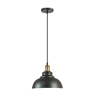 Подвесной светильник Lumion Dario 3675/1 E27