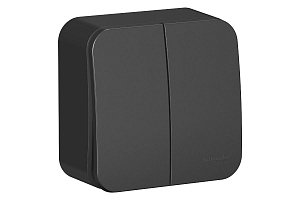 Выключатель 2-кл. ОП Blanca 10А IP20 (сх. 5) 250В с изолир. пластиной антрацит SE