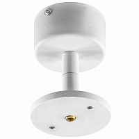 Крепление потолочное Lightstar RULLO для светильников 21443Х/21448Х белый