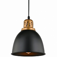 Подвесной светильник Arte Lamp Eurica A4245SP-1BK E27 черный