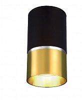 Потолочный светильник Elektrostandard DLN106 GU10 золото a047729